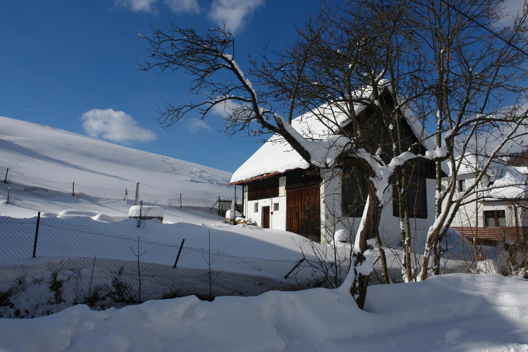 Villa Slnecny Dom à Liptovske Revuce Extérieur photo